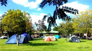 Kiwi Foo tent city. Werewolf free since March 2016