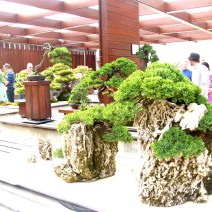 Penjing with Reed Pipe Rocks at the National Bonsai and Penjing Collection